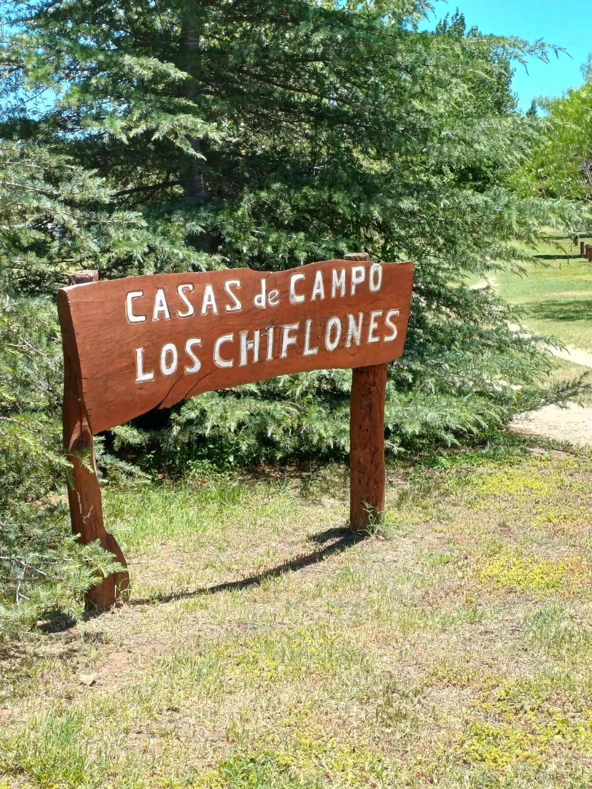 LOS CHIFLONES_12