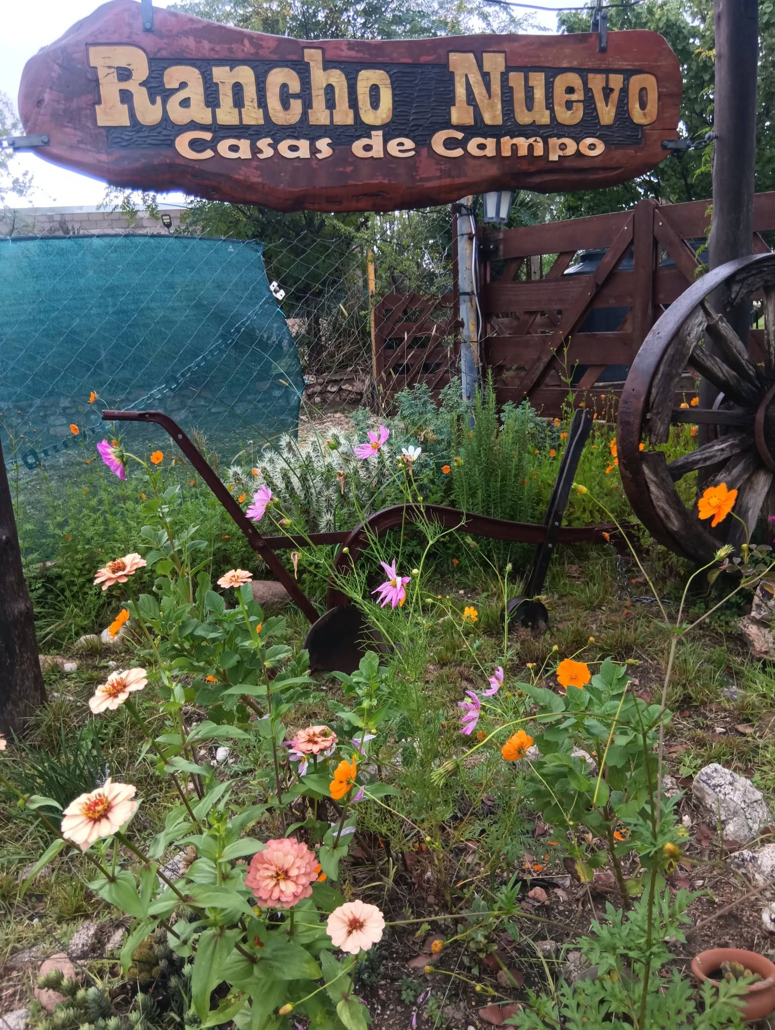 RANCHO NUEVO 1